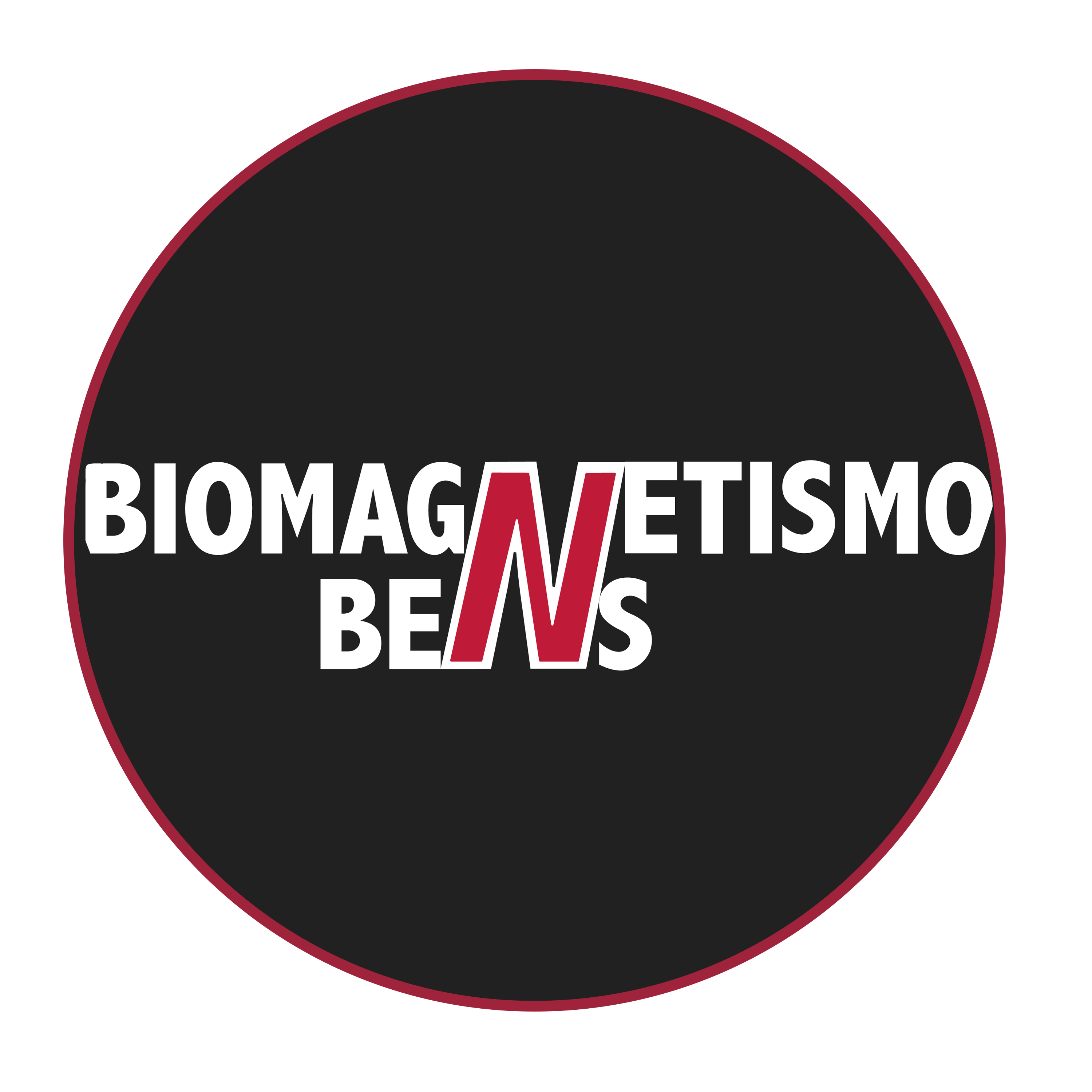biomagnetismobens